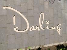 Darling Clothes Logo