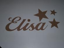 Elisa