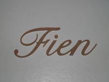 Fien Fien