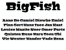 Bigfish Lettertype