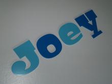 Joey